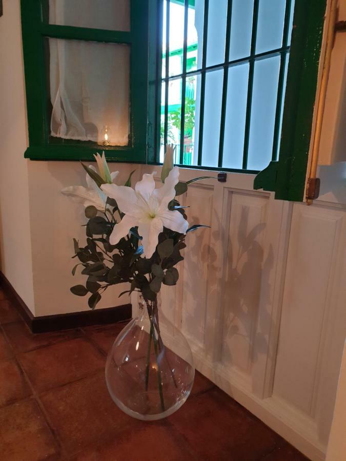 Apartamento Las Setas Séville Extérieur photo